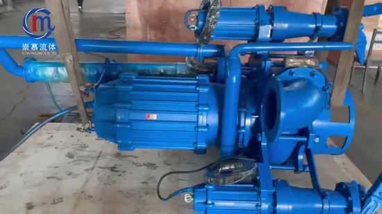 Zjq Flussbaggerung Untergetauchte Schlammschlamm-Sumpfpumpe Vertikale Zentrifugal-Sandsaugbaggerpumpe Tauchpumpe für Bergbau-Mineralschlamm