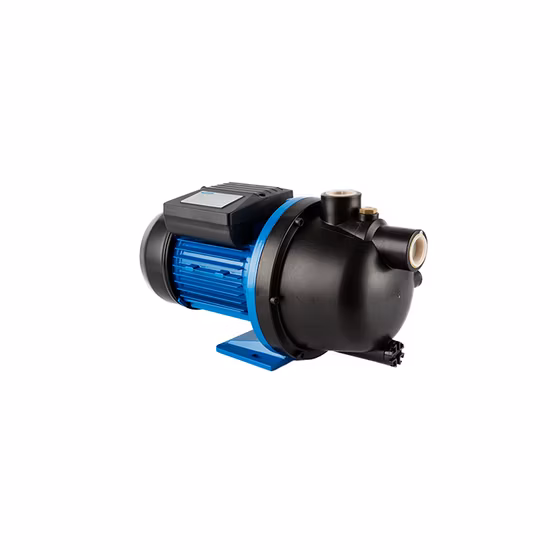Gartenpumpe (AUTO-JETS-G) mit CE-Zulassung